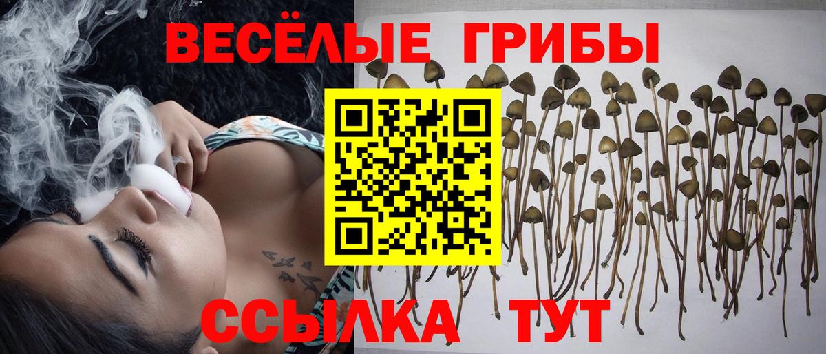 Галлюциногенные грибы ЛСД  Вход с VPN  Калач-на-Дону 