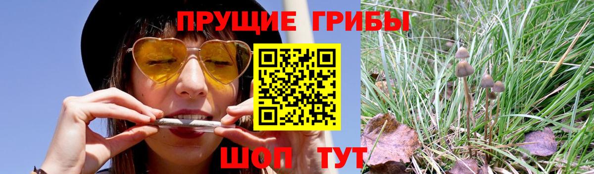 Галлюциногенные грибы Калач-на-Дону